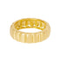 Anel Curvina